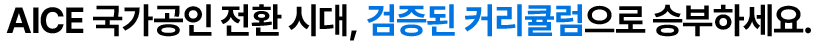 AICE 과정