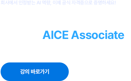 AICE 과정